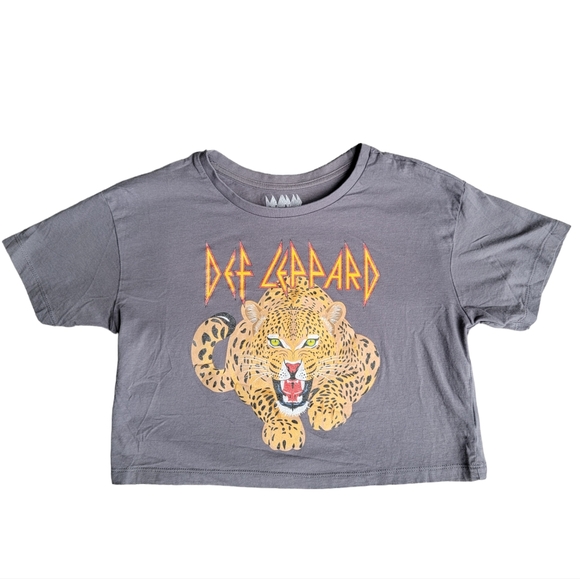 Def Leppard Tops - Def Leppard Cropped Graphic T-Shirt Grey Band Tee Logo Crop Top Festival…
